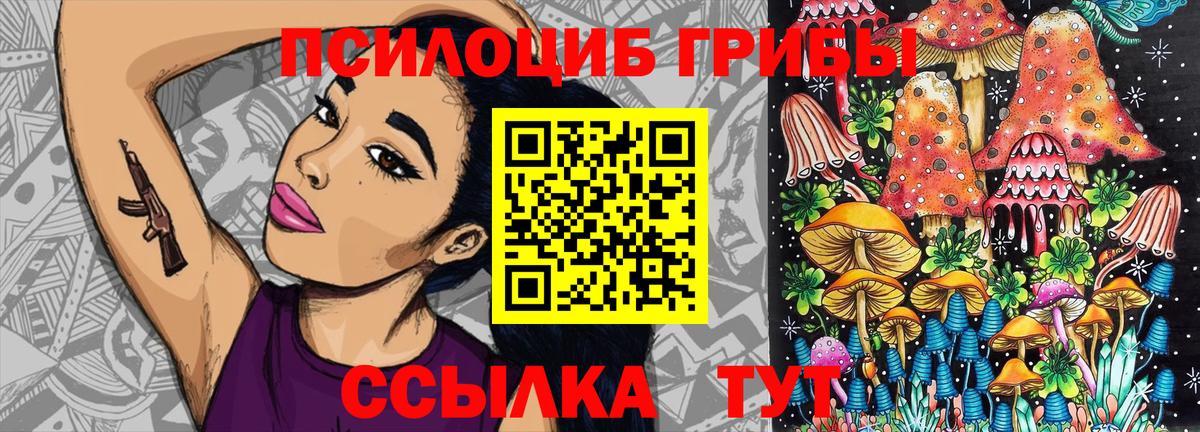 Псилоцибиновые грибы ЛСД Вятские Поляны